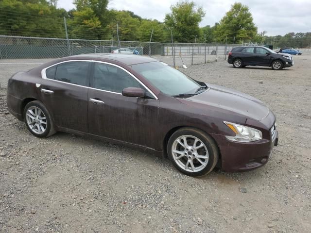 2014 Nissan Maxima S