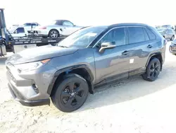 Salvage cars for sale at Arcadia, FL auction: 2021 Toyota Rav4 XSE