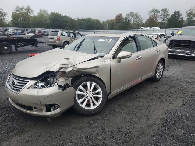 2010 Lexus ES 350