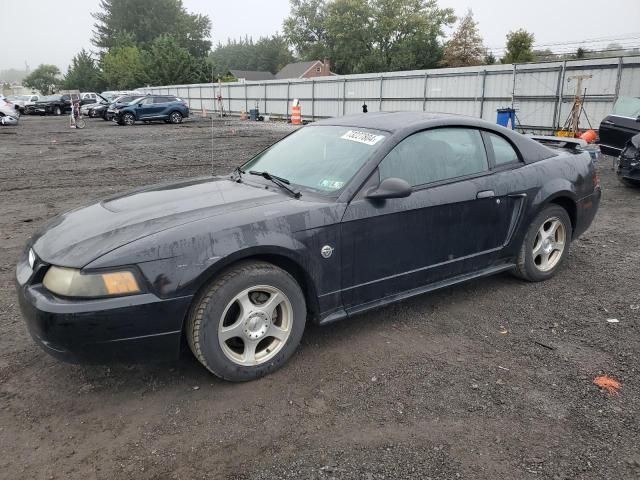 2004 Ford Mustang