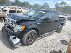 Salvage trucks for sale at Madisonville, TN auction: 2009 Ford F150 Supercrew