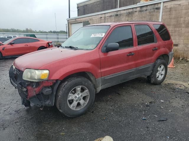 2005 Ford Escape XLT