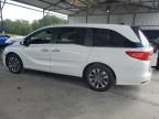 2024 Honda Odyssey EXL