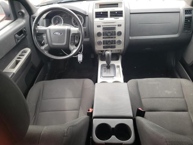 2009 Ford Escape XLT