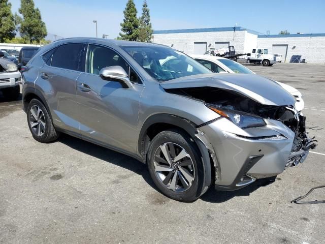 2021 Lexus NX 300H Base