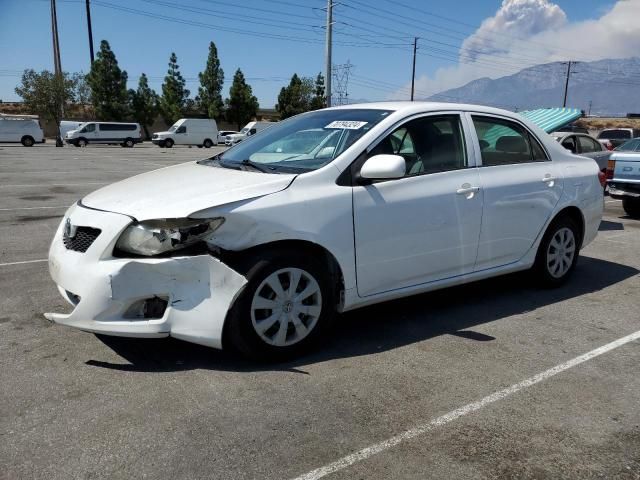 2010 Toyota Corolla Base