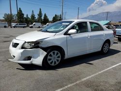 Toyota salvage cars for sale: 2010 Toyota Corolla Base