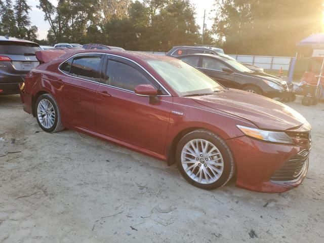 2019 Toyota Camry Hybrid