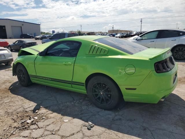 2013 Ford Mustang