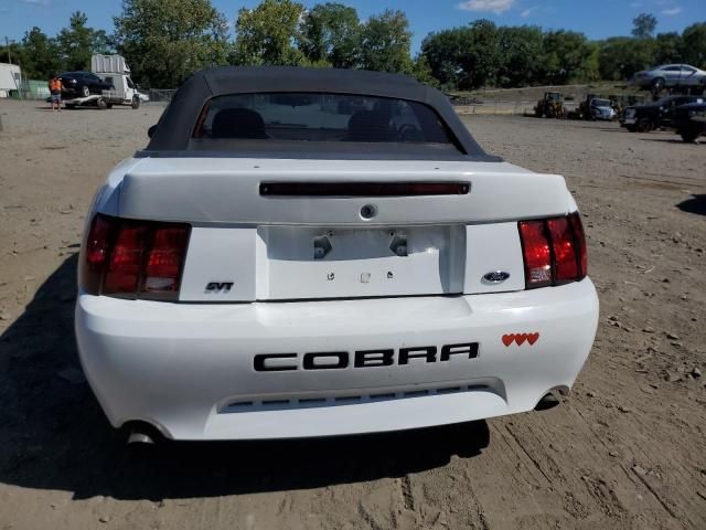 2001 Ford Mustang Cobra SVT