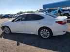 2014 Lexus ES 300H