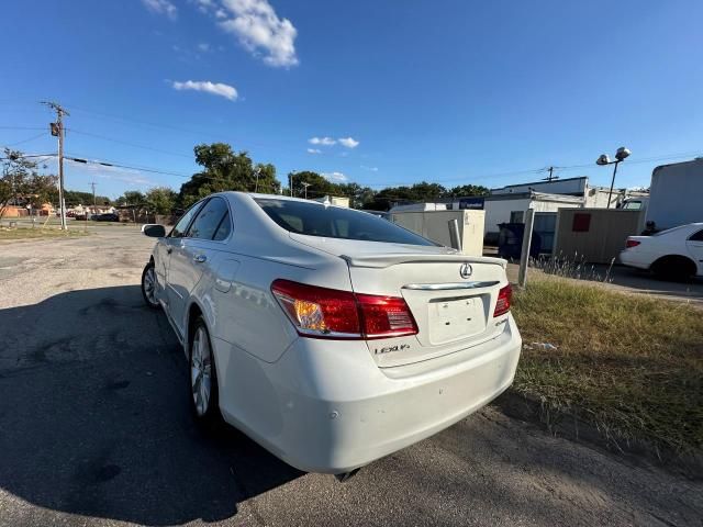 2010 Lexus ES 350