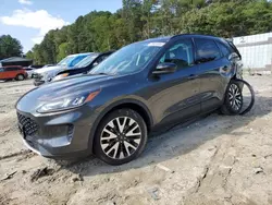 Ford salvage cars for sale: 2020 Ford Escape SE Sport