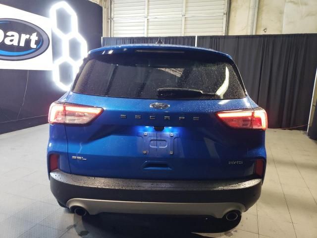 2021 Ford Escape SEL