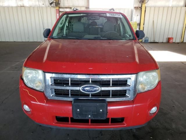 2009 Ford Escape XLT