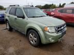 2008 Ford Escape HEV