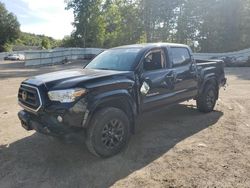 Salvage cars for sale at Center Rutland, VT auction: 2021 Toyota Tacoma Double Cab