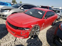 Dodge salvage cars for sale: 2017 Dodge Charger SXT