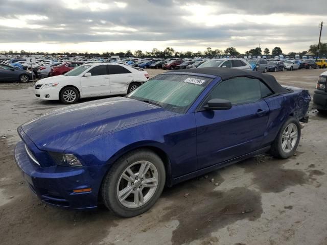 2013 Ford Mustang