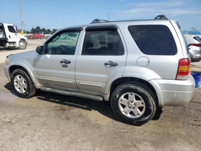 2007 Ford Escape XLT