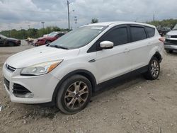 Salvage cars for sale at Indianapolis, IN auction: 2013 Ford Escape SEL