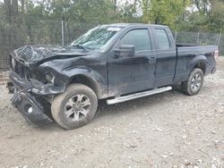 Salvage cars for sale at Cicero, IN auction: 2013 Ford F150 Super Cab