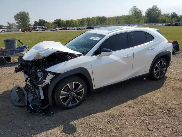 2019 Lexus UX 250H