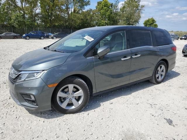 2019 Honda Odyssey EXL