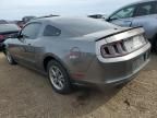 2013 Ford Mustang GT