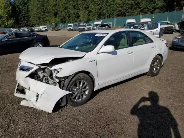 2010 Toyota Camry Hybrid