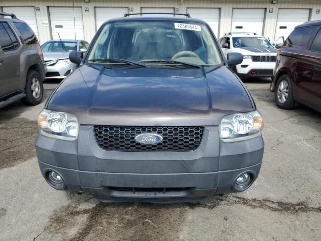 2006 Ford Escape XLT