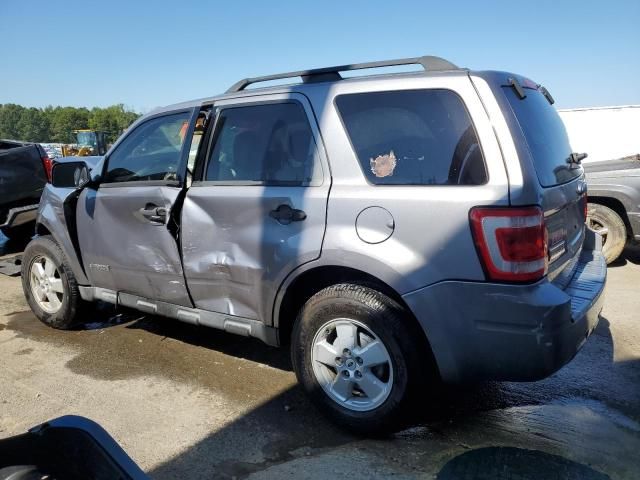 2008 Ford Escape XLT