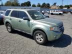 2008 Ford Escape HEV