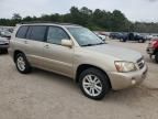 2006 Toyota Highlander Hybrid