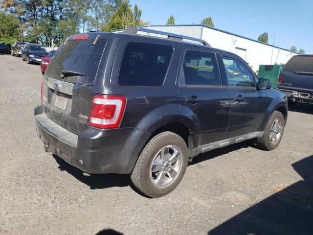 2009 Ford Escape Limited