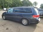 2010 Honda Odyssey EXL