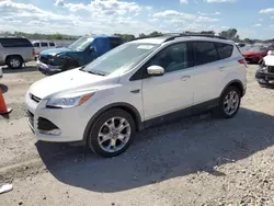 Salvage cars for sale at Kansas City, KS auction: 2013 Ford Escape SEL