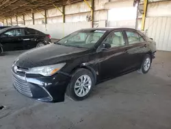 Salvage cars for sale at Phoenix, AZ auction: 2015 Toyota Camry LE