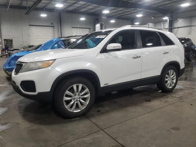 2011 KIA Sorento Base