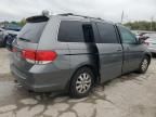 2009 Honda Odyssey EXL