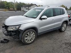 Salvage cars for sale at York Haven, PA auction: 2016 Volkswagen Tiguan S