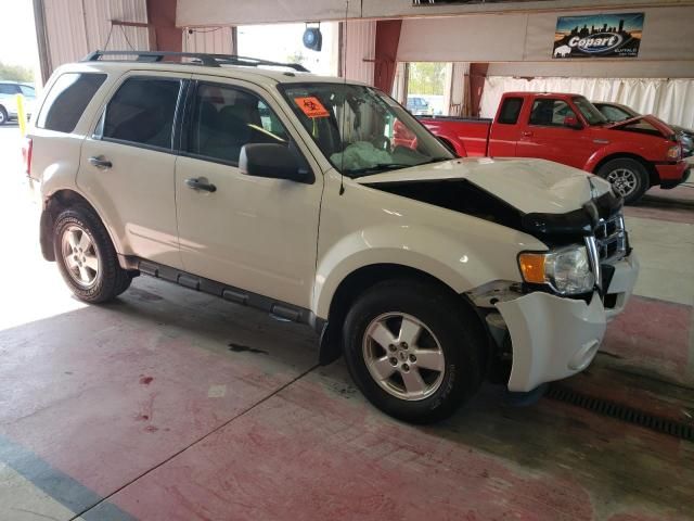 2011 Ford Escape XLT