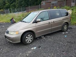 Honda salvage cars for sale: 2004 Honda Odyssey EX