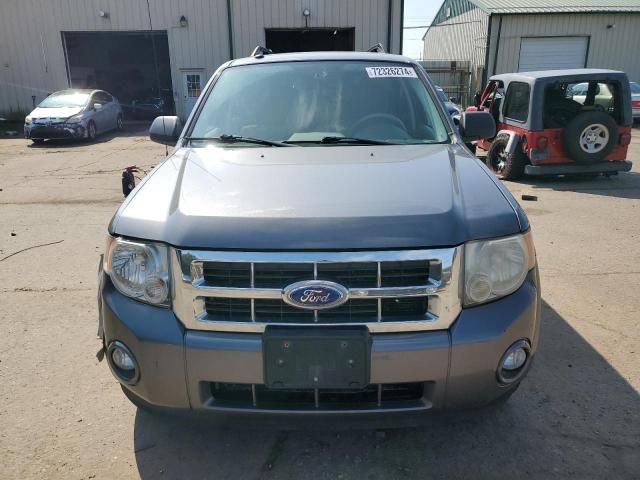 2011 Ford Escape XLT