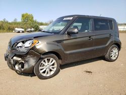 KIA Soul Vehiculos salvage en venta: 2013 KIA Soul +