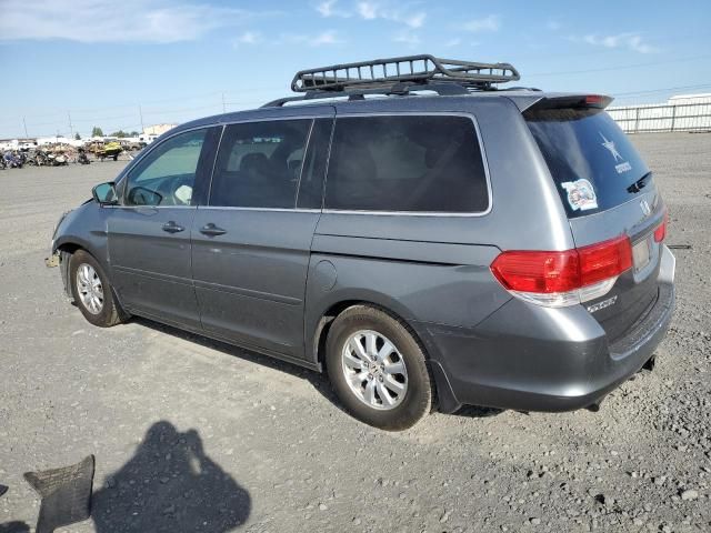 2009 Honda Odyssey EXL