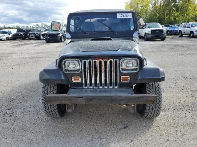 1993 Jeep Wrangler / YJ S