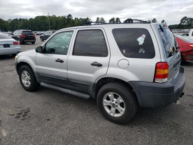 2006 Ford Escape XLT