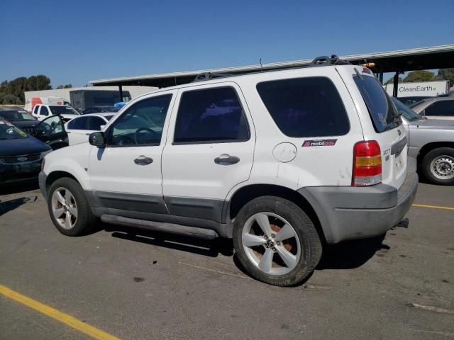 2004 Ford Escape XLS