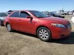 2007 Toyota Camry Hybrid